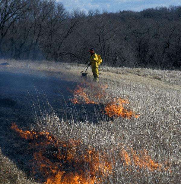 Preserving our Natural Resources Preserving our Natural Resources